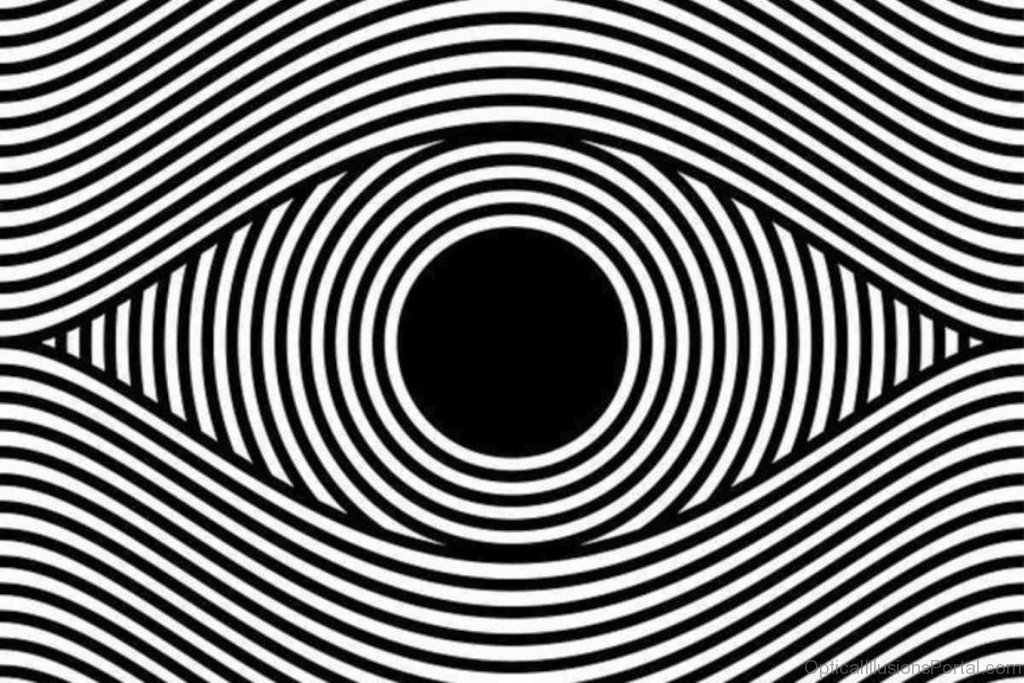 25 Nice Art Optical Illusion