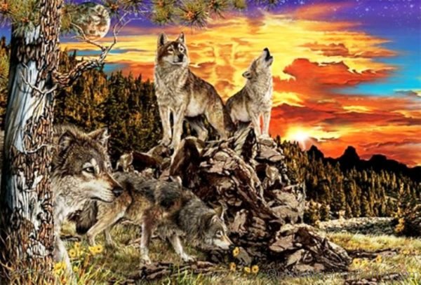 17 Hidden Wolves Optical Illusion