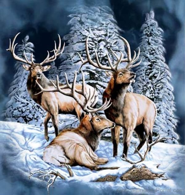 8 Hidden Elks Illusion