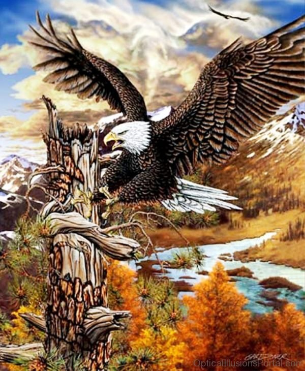9 Hidden Eagles Optical Illusion