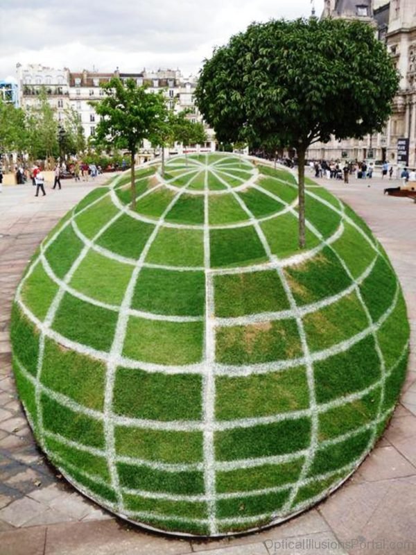 A Sphere Planted Trees