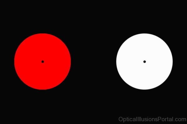 Afterimage Of Red And White Color Wheel Illusion