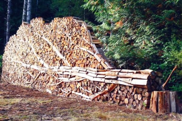 Alastair Heseltine Tree Cut Wood
