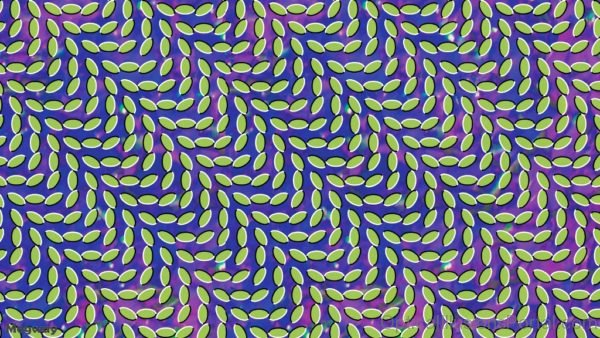 Amazing Moving Optical Illusions