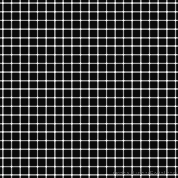 Amazing Optical Illusions 1