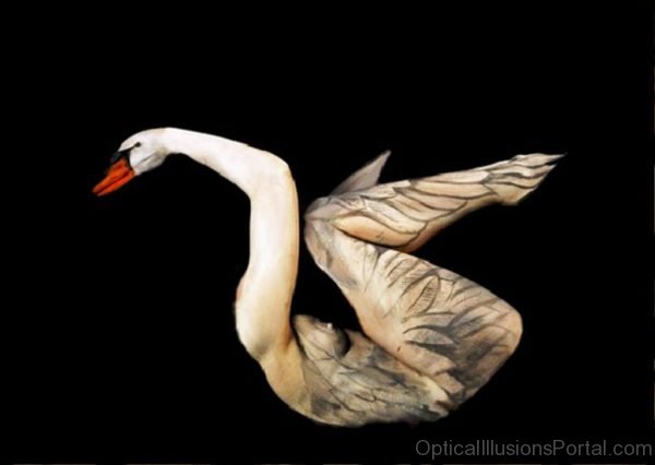 Amazing Swan Body Paint Optical Illusion