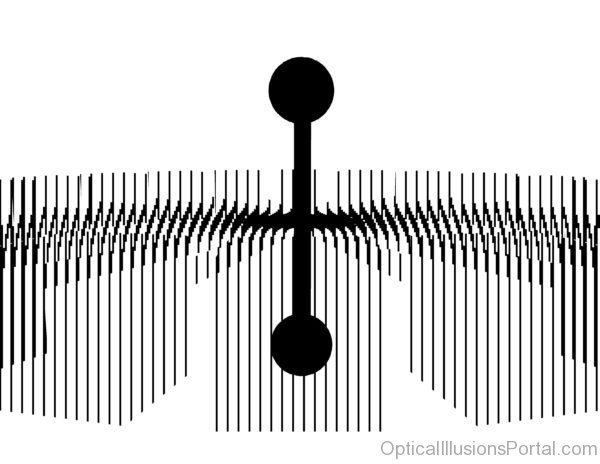 Amazing animated optical illusion