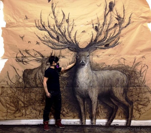 Animal Murals