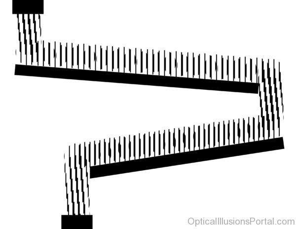 Animated Illusion