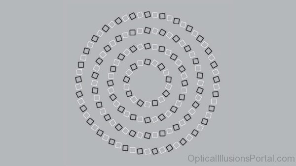 Animated Optical Illusion