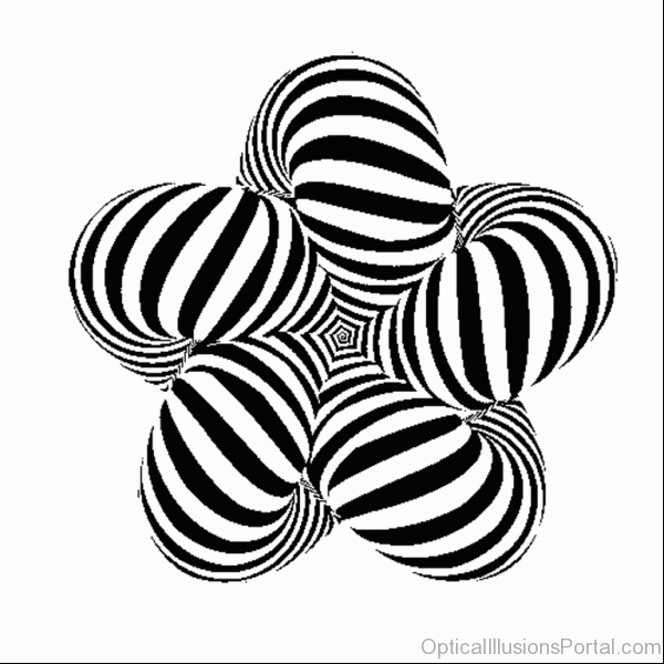 Back White Optical Illusion