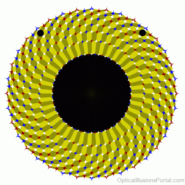 Balloonfish Optical Illusion