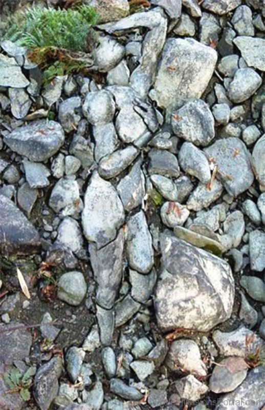 Beach Stones Illusion