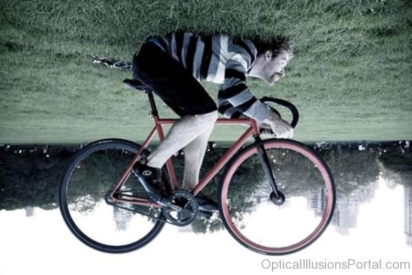 Bicycle Illusion