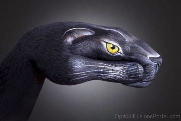 Black Jaguar Optical Illusion