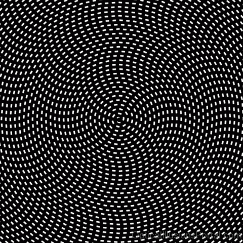 Black Moving Dots
