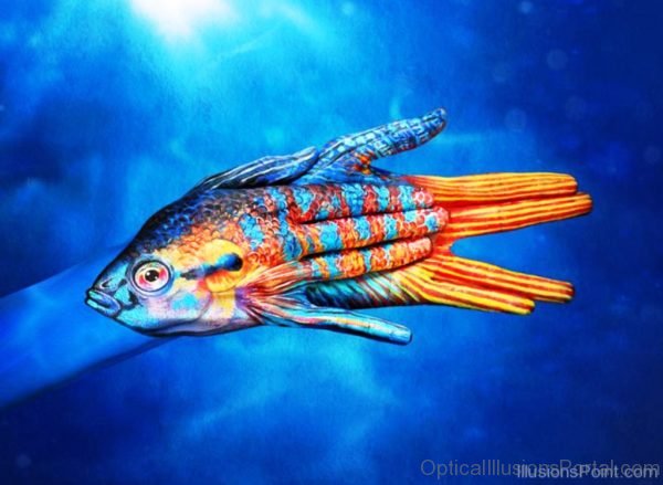 Blue Screen Fish Optical Illusion