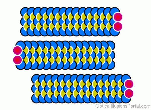 Blue Worms Illusion
