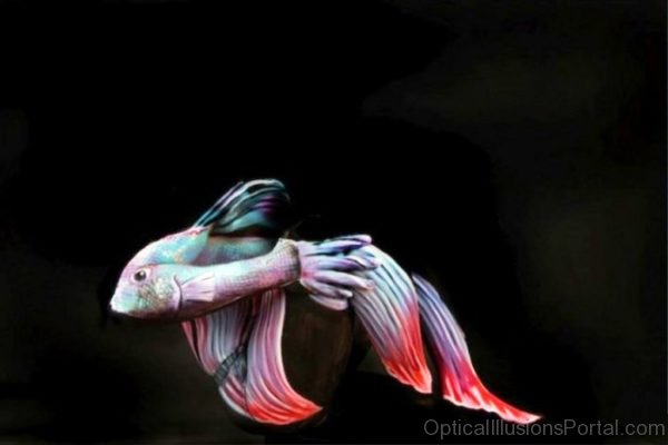 Body Paint Fish Optical Illusion