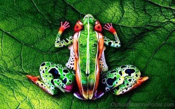 Body Painted Frog