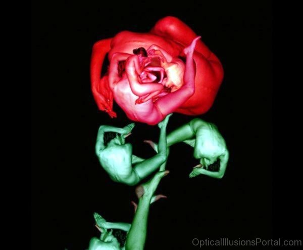 Body Painted Rose Illusion