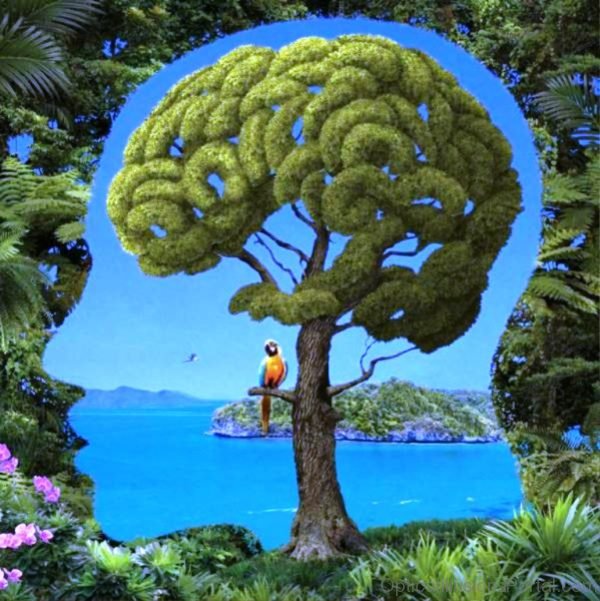 Brainy Tree Optical Illusion