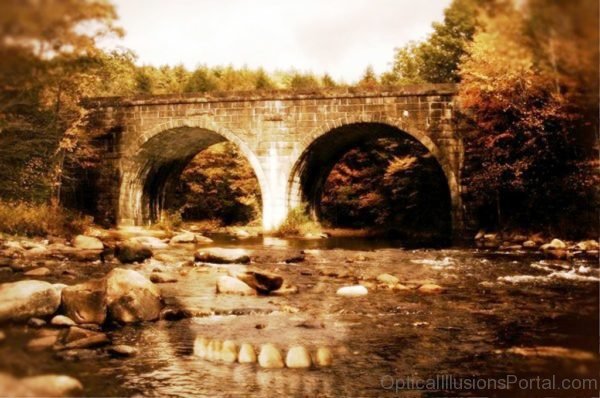 Bridge Skull Optical Illusion