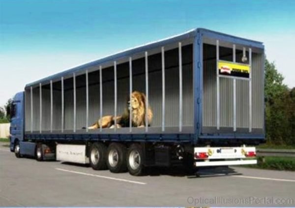 Cage Truck Illusion