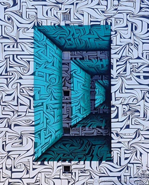 Calligraphic Optical Illusion Murals