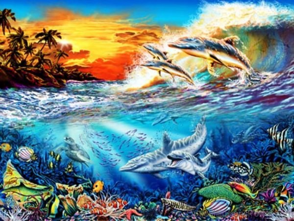 Can You Find 19 Hidden Dolphins