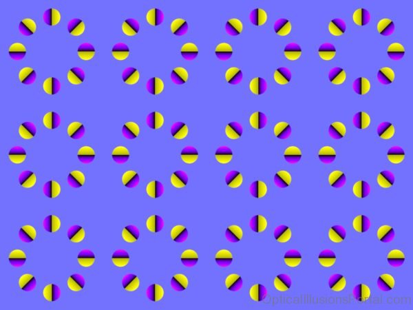 Capsule Rings Illusion