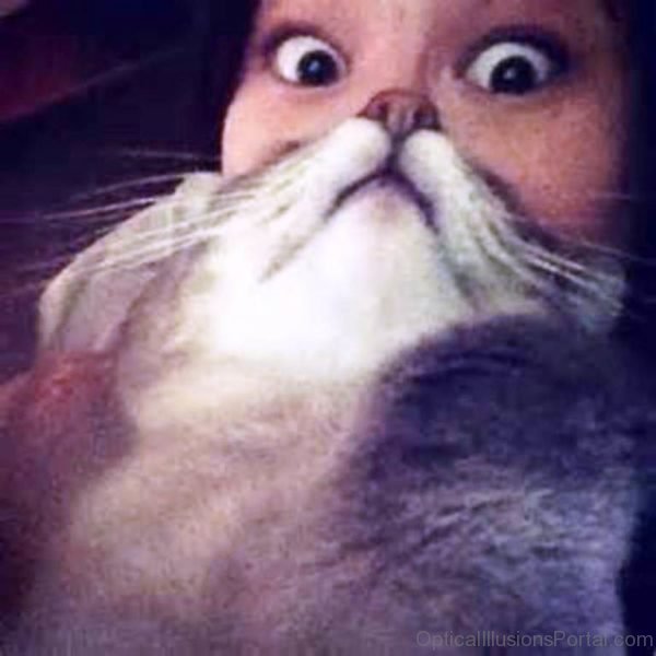 Cat Face Woman Ambigious Illusion