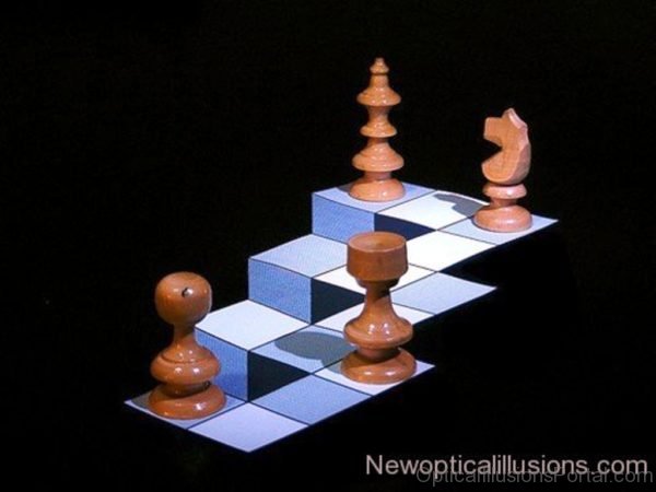 Chess Illusion