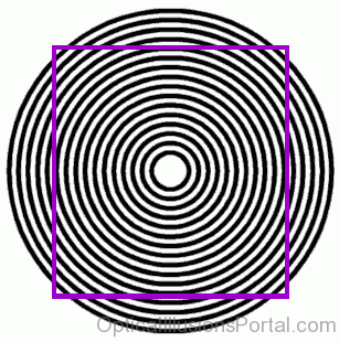 Circle Box Illusion