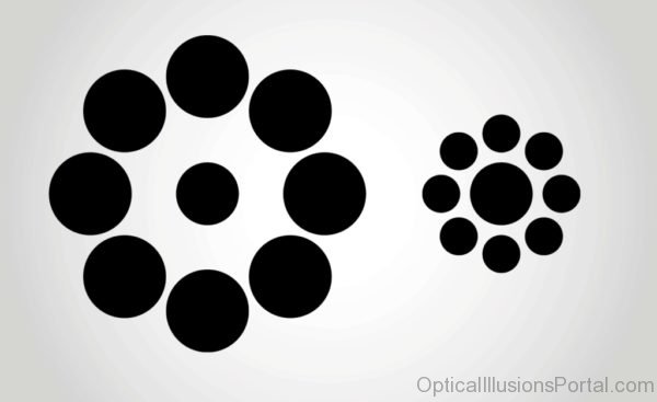 Circles Design Illusion