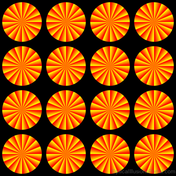 Circles Oranges Illusion