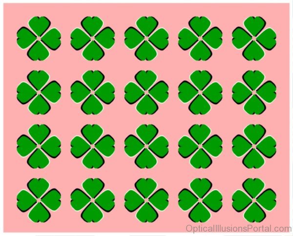 Clovers Four leafed Illusion