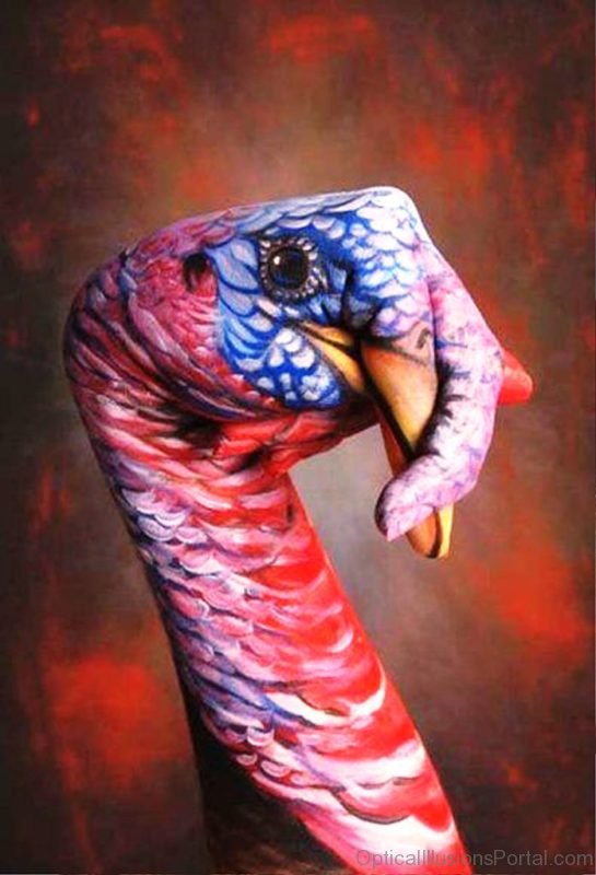 Colored Bird Optical Illusion