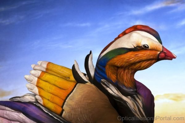 Colored Duck Optical Illusion