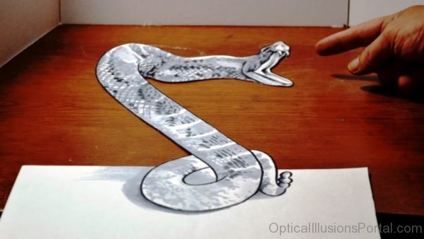 Cool Anamorphic Snake Illusion