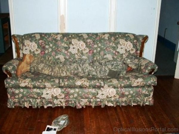 Couch Optical Illusion