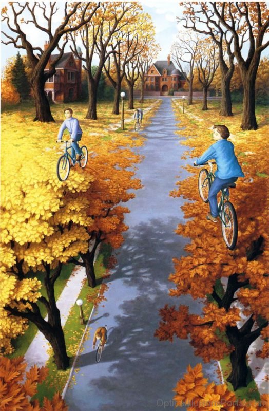 Cycling On Tress Illusion