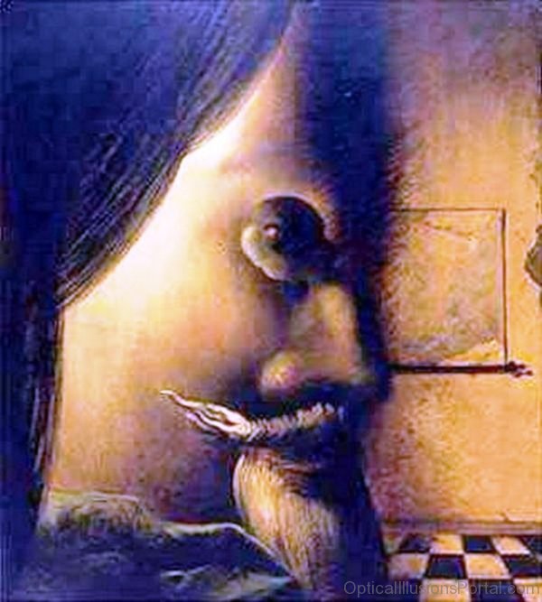 Dali Illusion