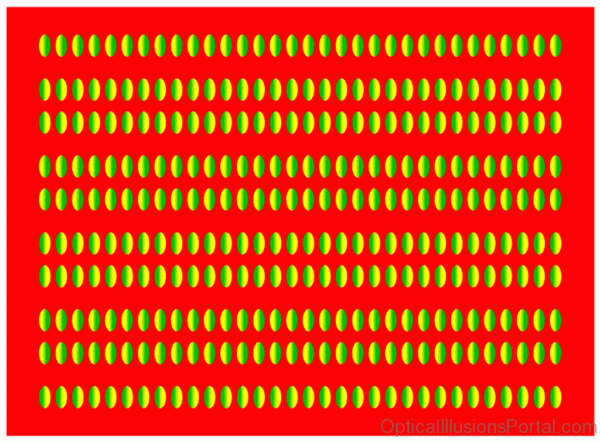 Donguriko Moving Illusion