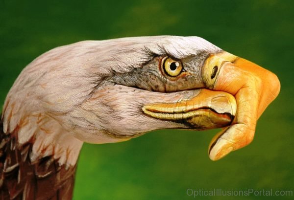 Eagle Bird Illusion