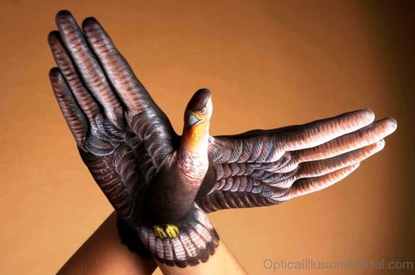 Eagle Optical Illusion