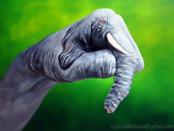 Elephant Face With Hand Paint