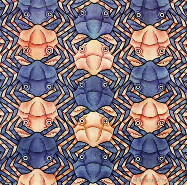 Escher M Optical Illusion Art