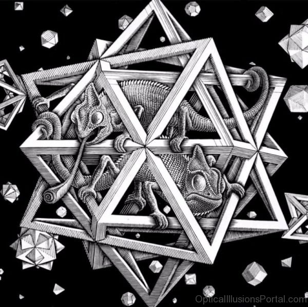 Escher Optical Illusion Artworks