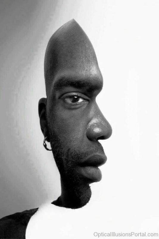 Face Optical Illusion